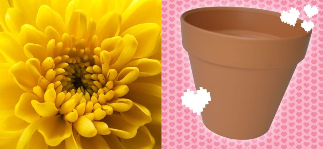 Chrysanthemum and Replicotta Round Pot by HomeLeisure