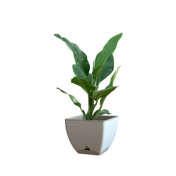WaterSaver Modern Square 300mm Grey