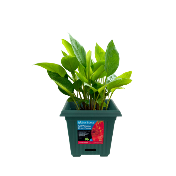 WaterSaver Square Fluted 280mm Green
