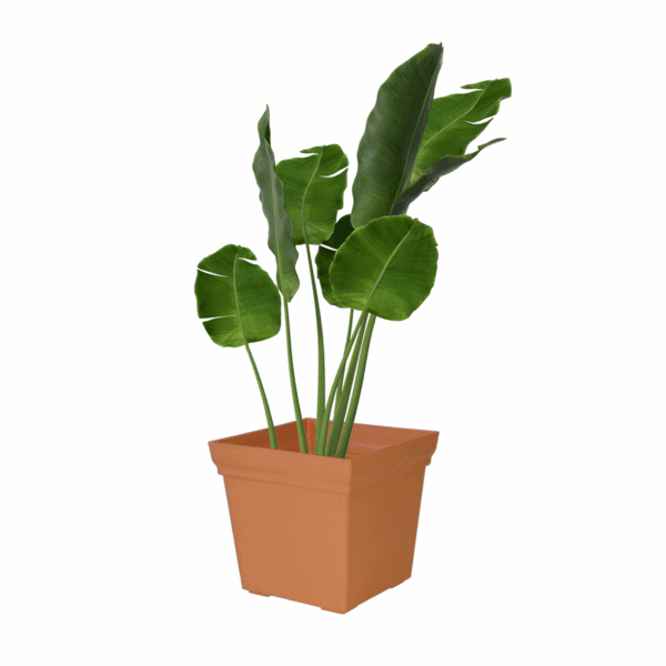 Replicotta Square Pot 390mm