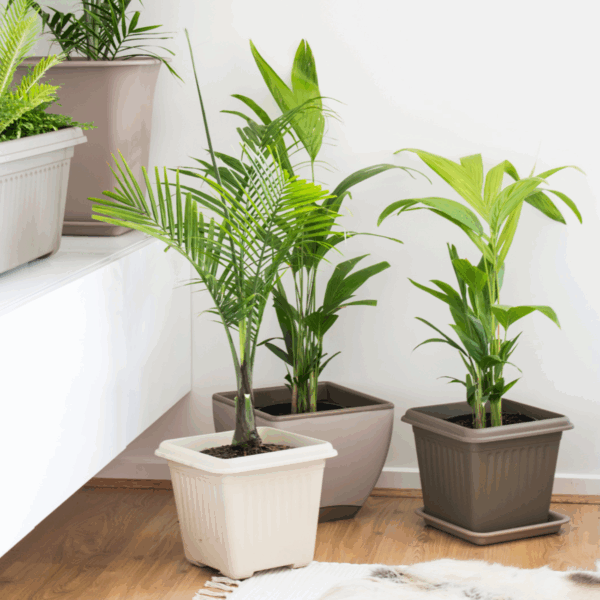 WaterSaver Indoor