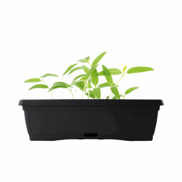 WaterSaver Tomato Trough 600mm Black