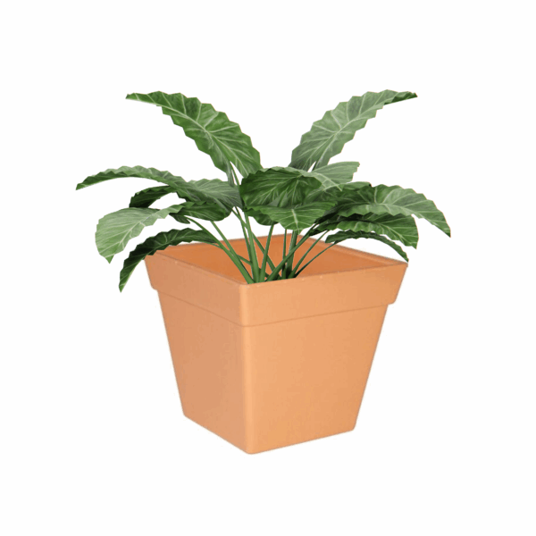 Replicotta Square Pot 100mm