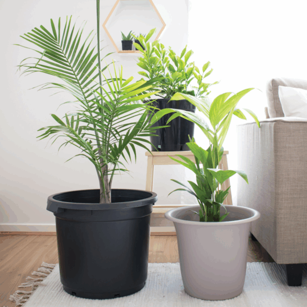 Reko Pot W/Handle 300mm Black - Image 3