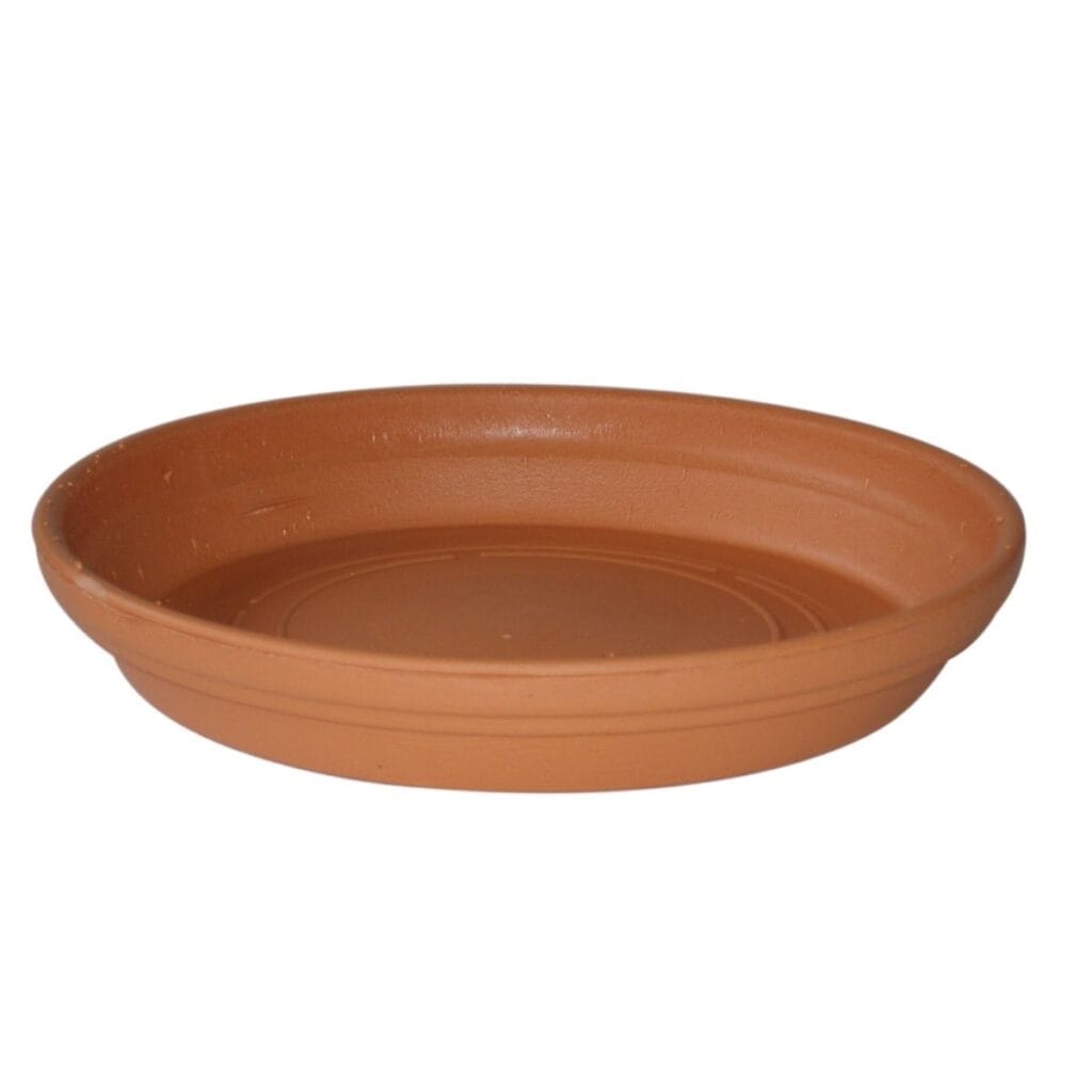 Replicotta Round Saucer 230mm Homeleisure