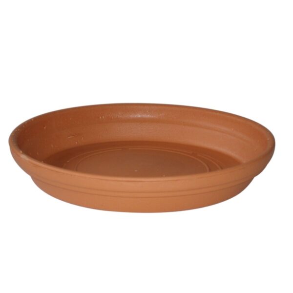Replicotta Round Saucer 230mm