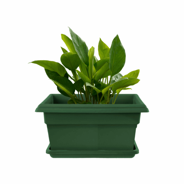Window Box 270mm Green