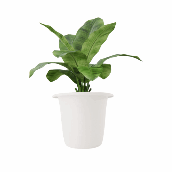 Balconia Round 250mm White