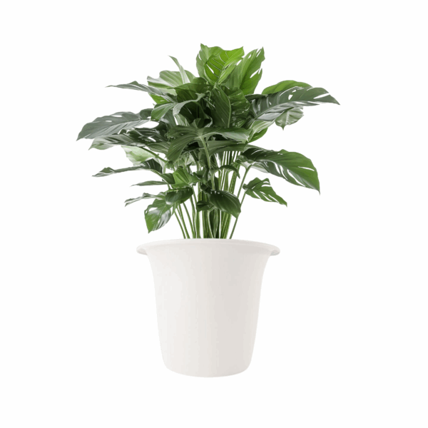 Balconia Round 350mm White