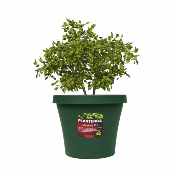 Planterra Pot 300mm Green