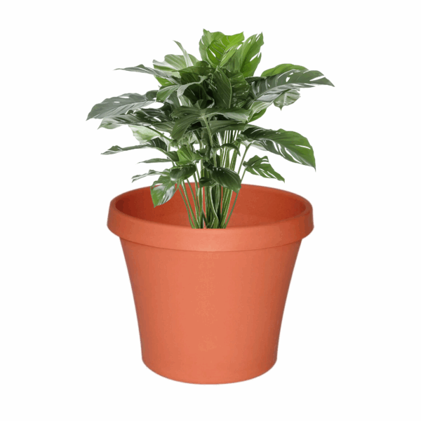 Planterra Pot 300mm Terracotta