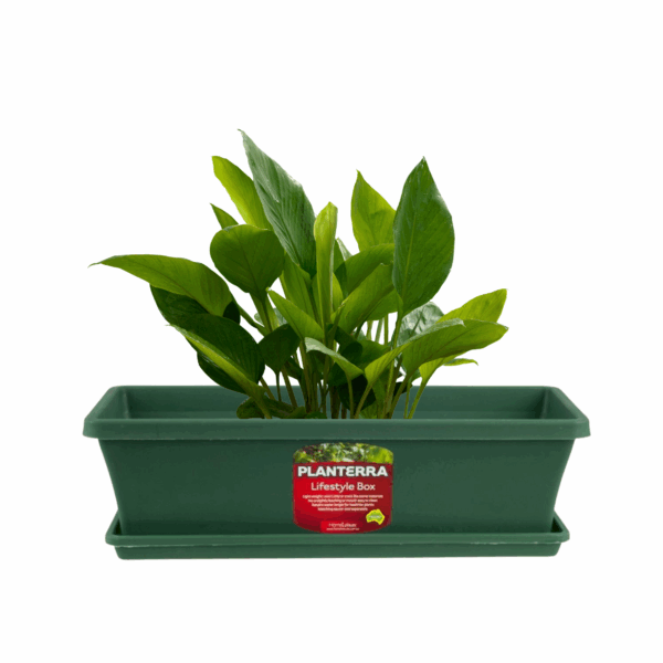 Planterra Box 450mm Green