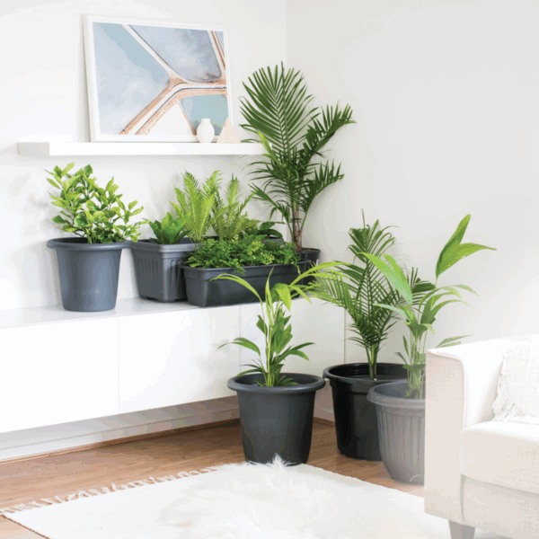 WaterSaver Indoor