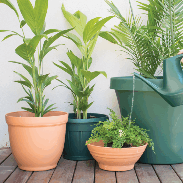 Planterra Pot Green Outdoor