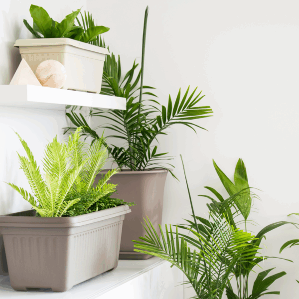 WaterSaver Indoor