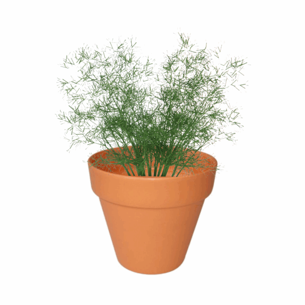 Replicotta Round Pot 150mm