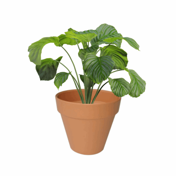 Replicotta Round Pot 200mm
