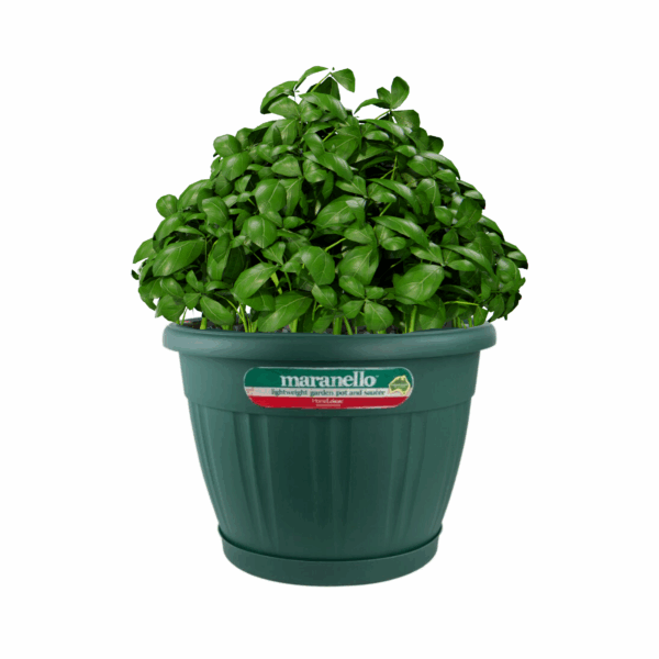 Pot & Saucer 425mm Green