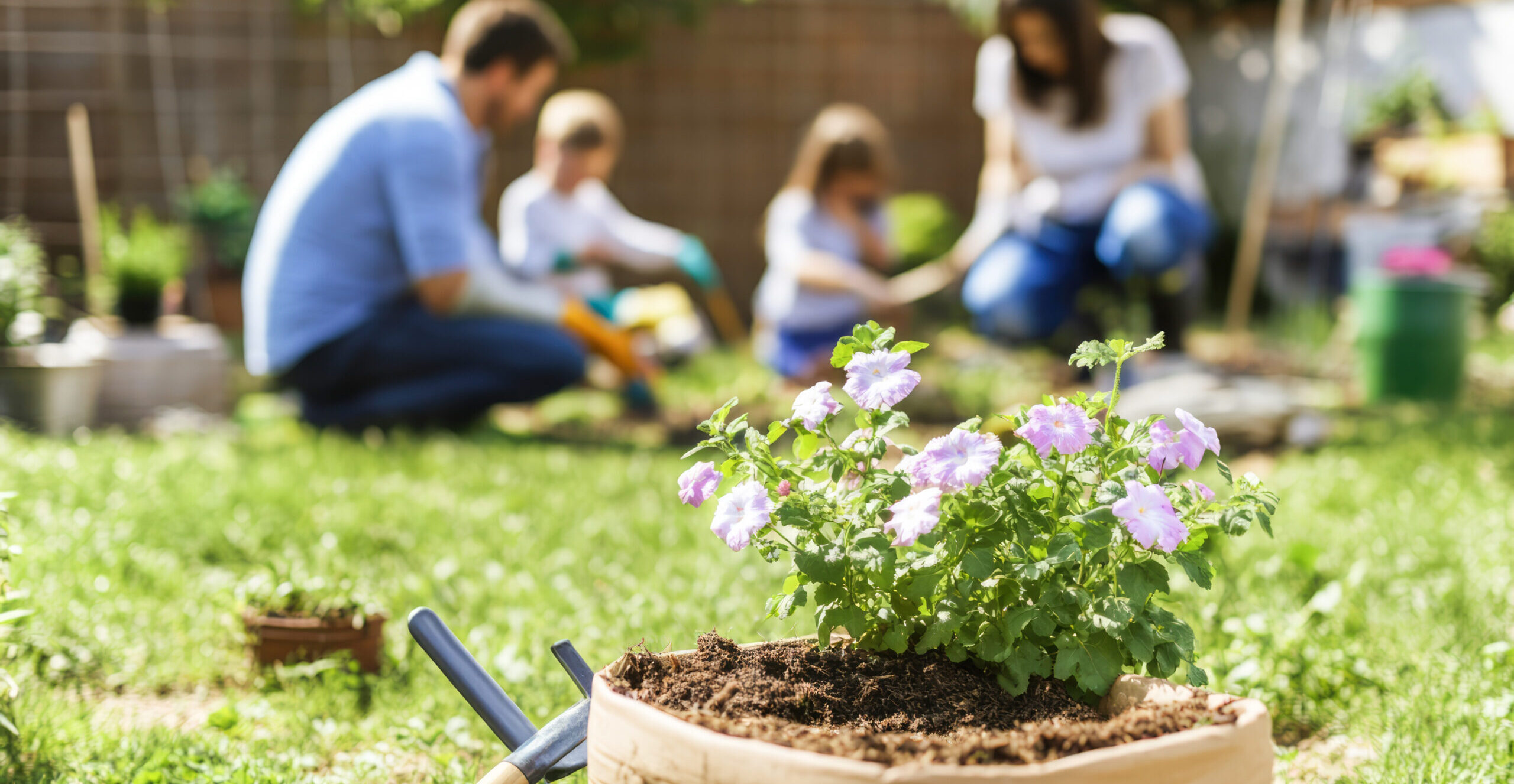 Family gardening: caucasian adults and children enjoy outdoor planting in sunny backyard Family gardening: caucasian adults and children enjoy outdoor planting in sunny backyard