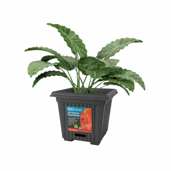 WaterSaver Traditional Square 390mm Charcoal