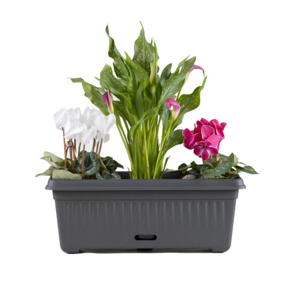 WaterSaver Traditional Rectangle 480mm Charcoal