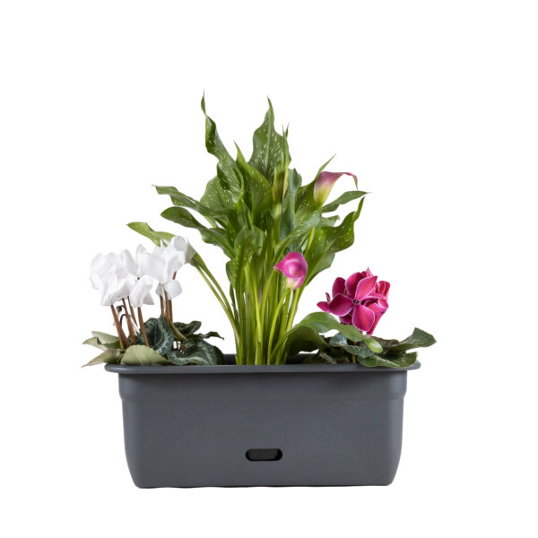 Planterra Box 450mm Charcoal