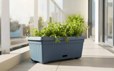 Self-Watering Pots Troubleshooting Guide: Soil Mix, Root-Rot & Watering Timing