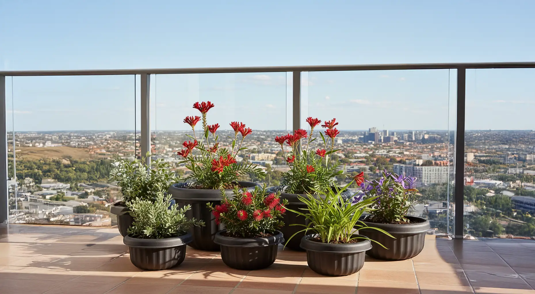 Best Plants for Balcony